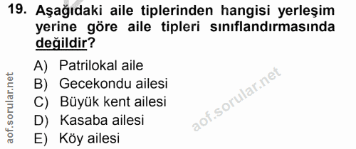 Soru 19