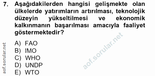 Soru 7
