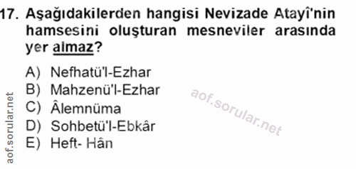 Soru 17