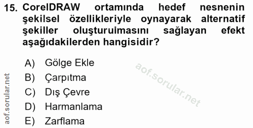 Soru 15