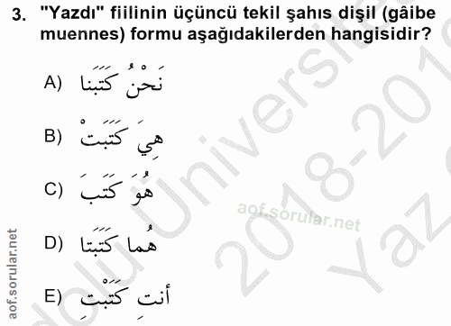 Soru 3