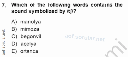 Soru 7