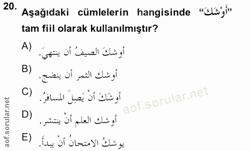 Soru 20
