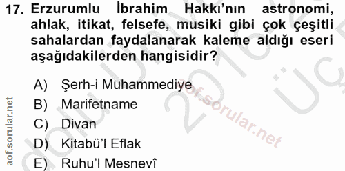 Soru 17