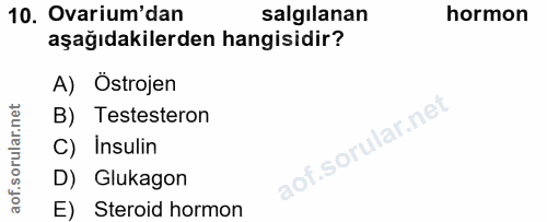 Soru 10