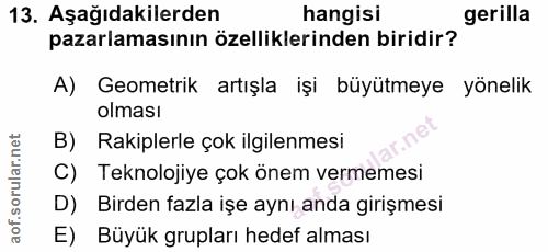 Soru 13
