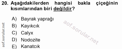Soru 20