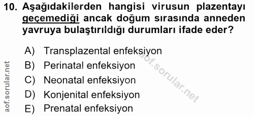 Soru 10