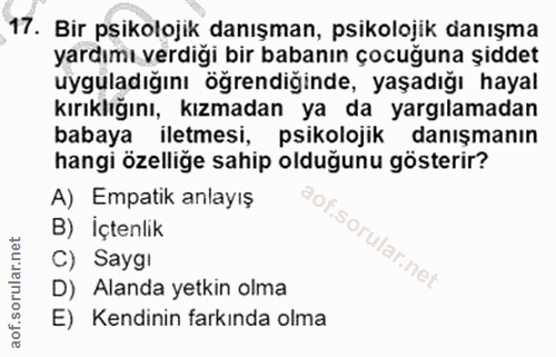 Soru 17