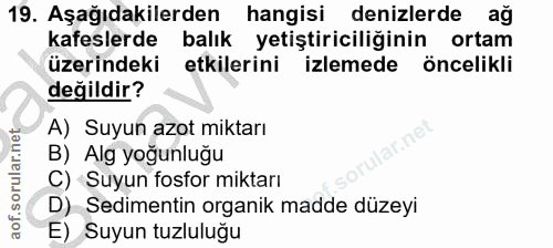 Soru 19
