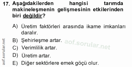 Soru 17