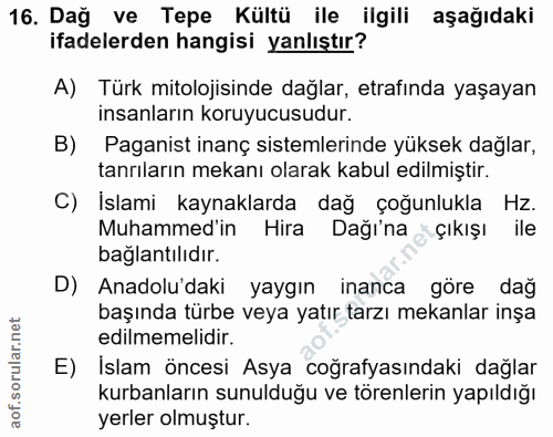 Soru 16