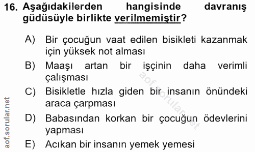 Soru 16