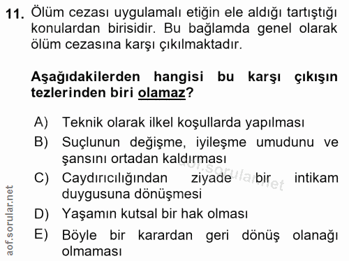Soru 11