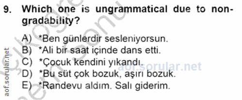 Soru 9