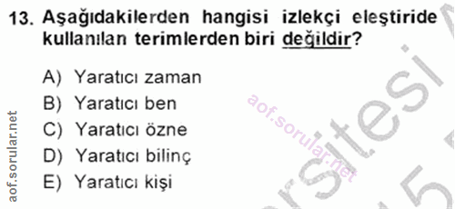 Soru 13