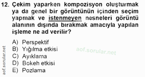 Soru 12