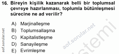 Soru 16