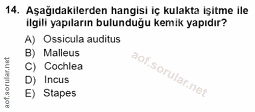 Soru 14