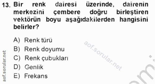 Soru 13
