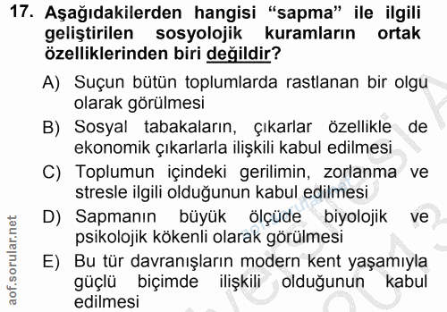 Soru 17