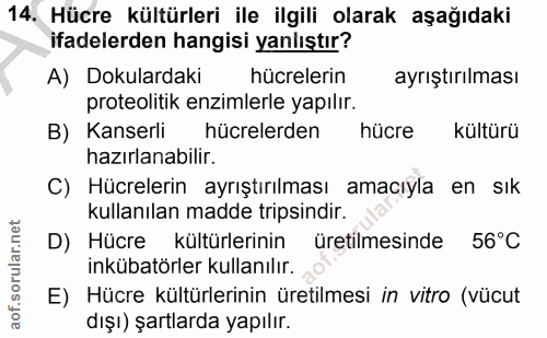 Soru 14