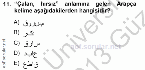 Soru 11