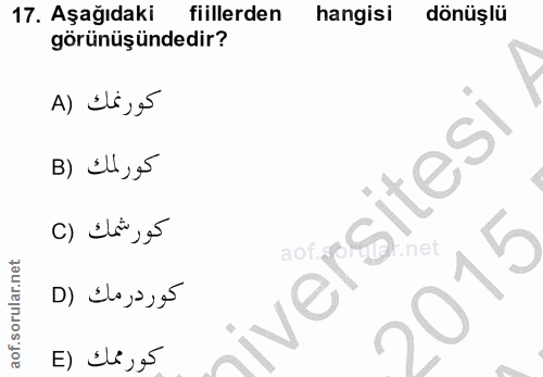 Soru 17