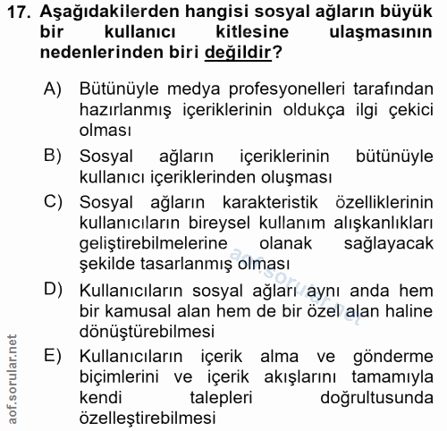 Soru 17