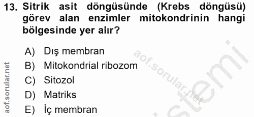 Soru 13