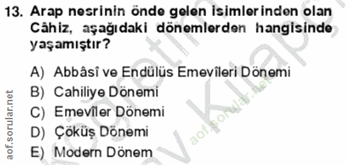 Soru 13