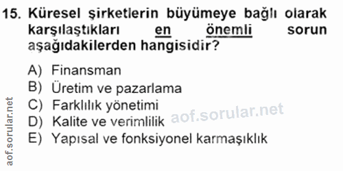 Soru 15