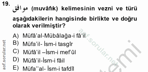 Soru 19