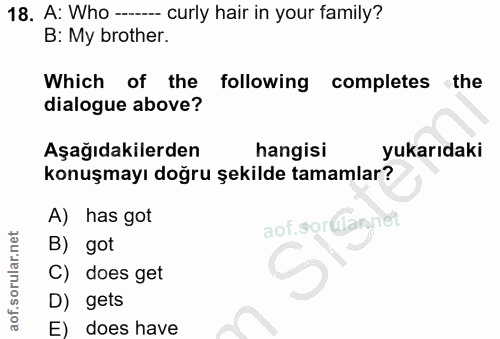 Soru 18