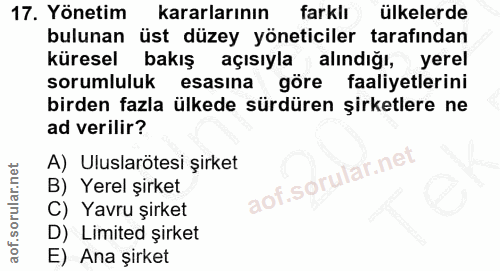 Soru 17