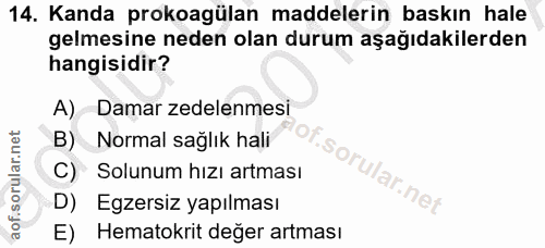 Soru 14