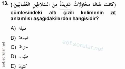 Soru 13
