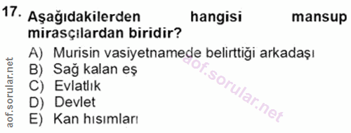 Soru 17