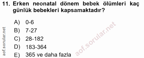 Soru 11