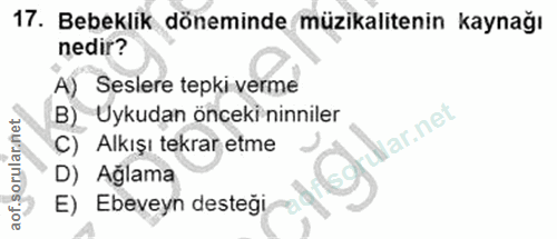 Soru 17