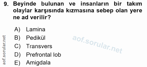 Soru 9