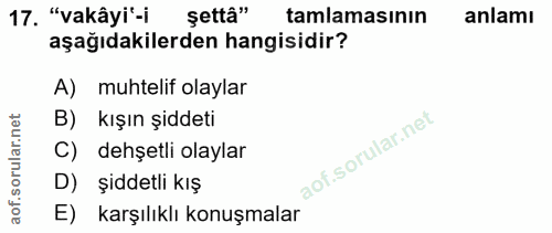 Soru 17