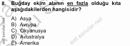Soru 8