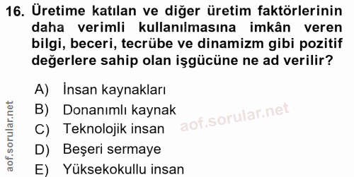 Soru 16