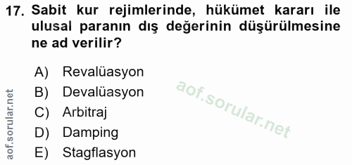 Soru 17