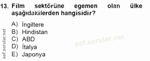 Soru 13