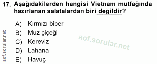 Soru 17