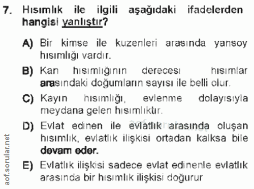 Soru 7