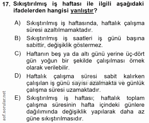 Soru 17