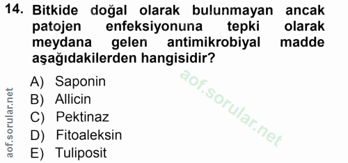 Soru 14